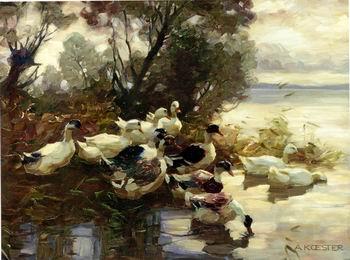 unknow artist Ducks 095 Norge oil painting art